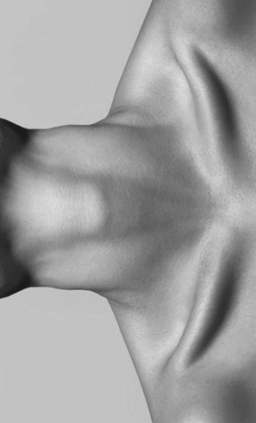 Dettaglio — always human